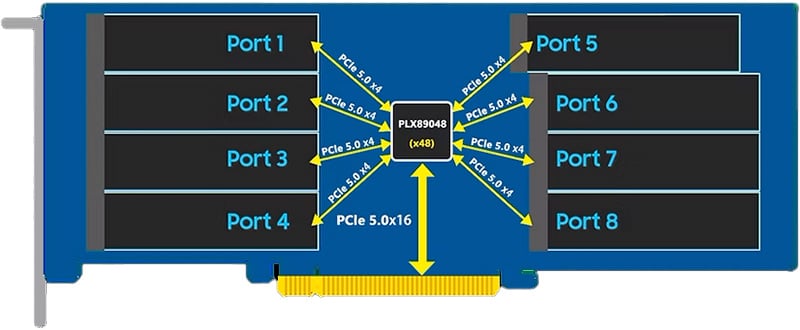 Broadcomの「PEX89048」を搭載